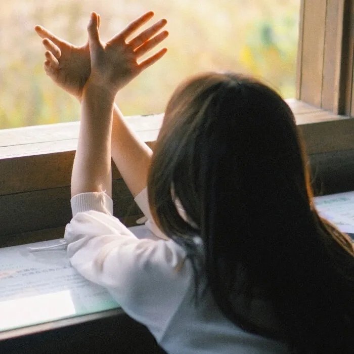 龙氏后人之狐族